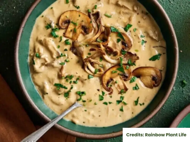 leek soup recipe vegan