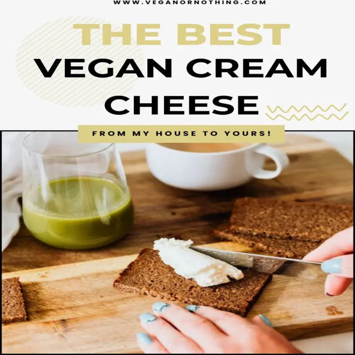 Finding the Best Vegan Cream Cheese: A Family’s Journey Through Eight Brands