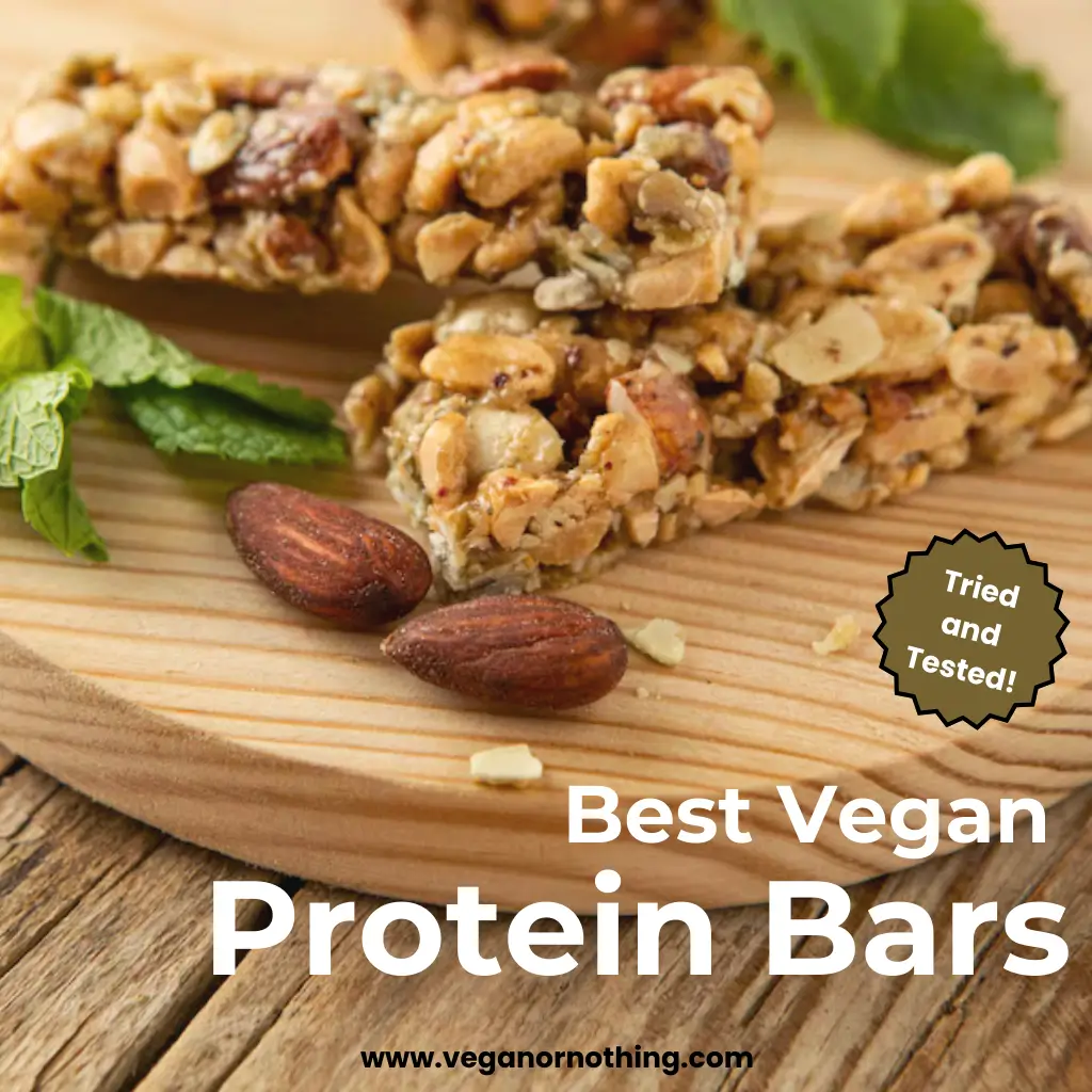 Best Vegan Protein Bar