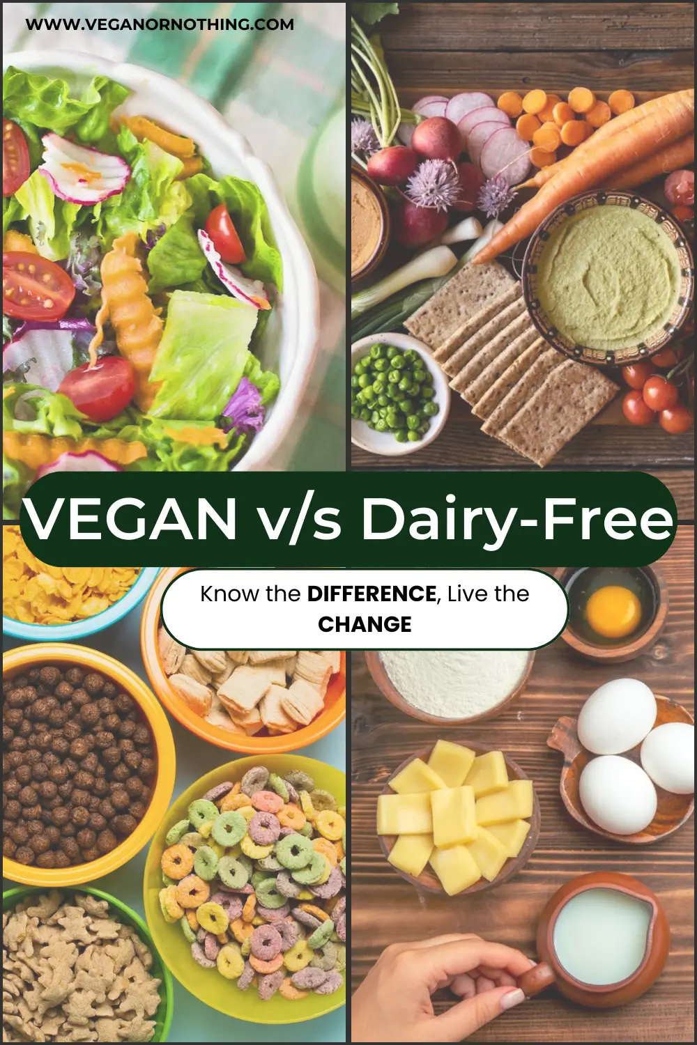 Is Vegan Dairy Free