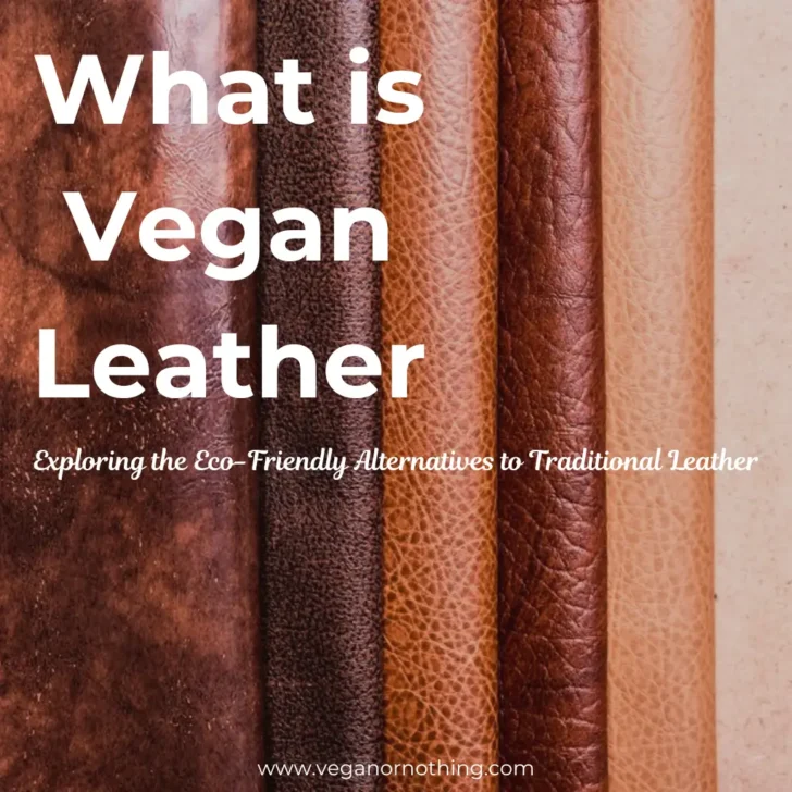 Why Choose Vegan Leather? Benefits, Drawbacks, and Sustainability